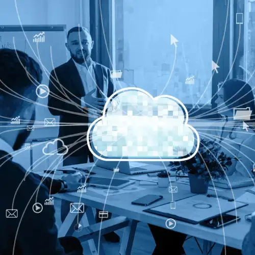 Data Migration, Support & Maintenance